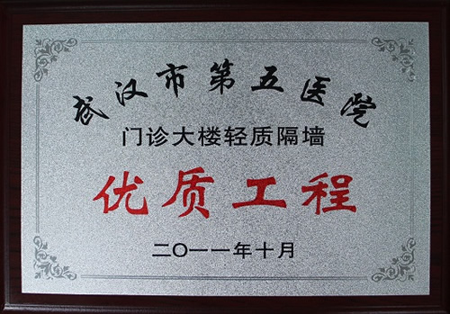 武汉市第五医院门诊大楼轻质
