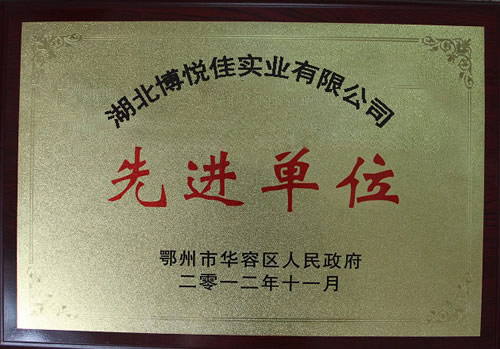 湖北博悦佳实业有限公司先进
